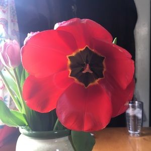 Meet your Posher, Marybeth